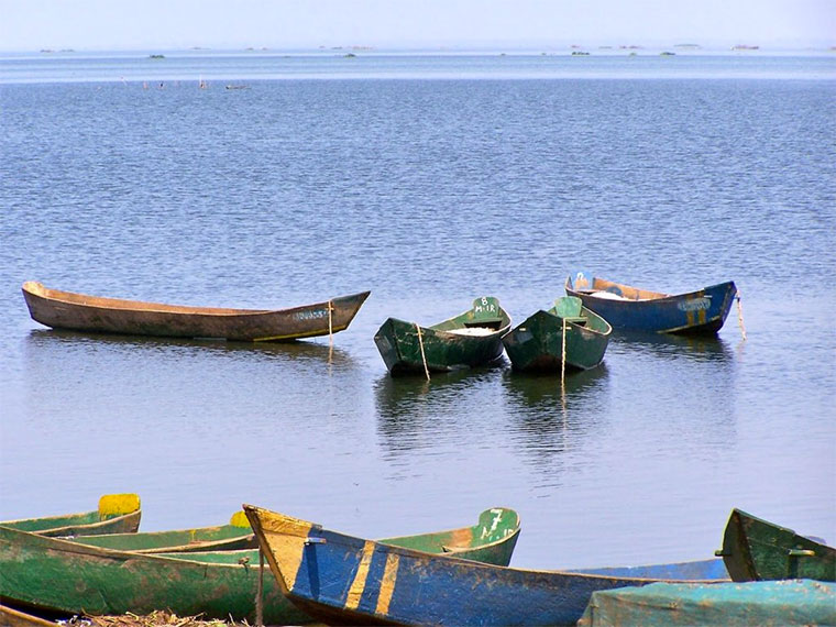 Boy, 12, dies after crocodile attack in Buyende