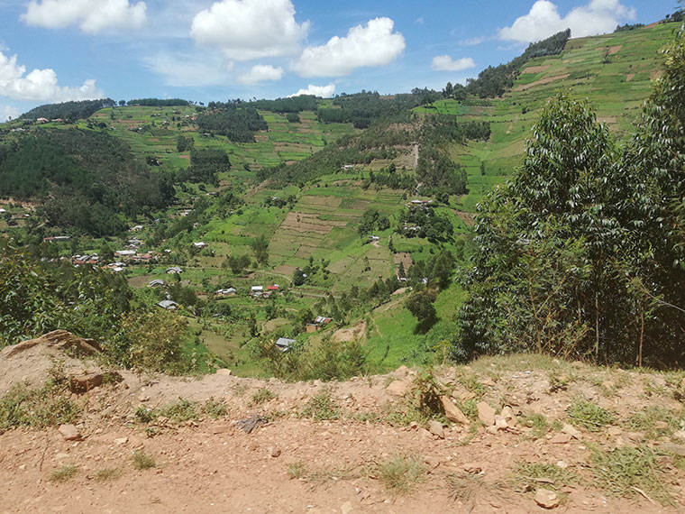 Government launches nationwide land audit to protect public property