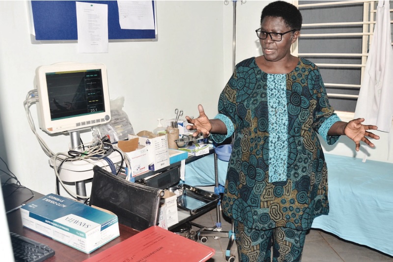 From veterinary surgeon to hospital founder