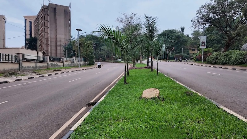 Why Kampala is turning green this March