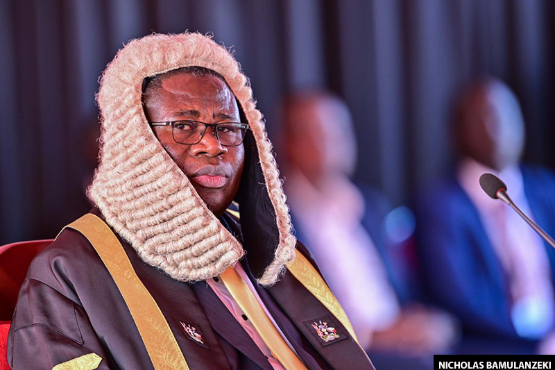 The subservient: predicting the character of the 12th parliament