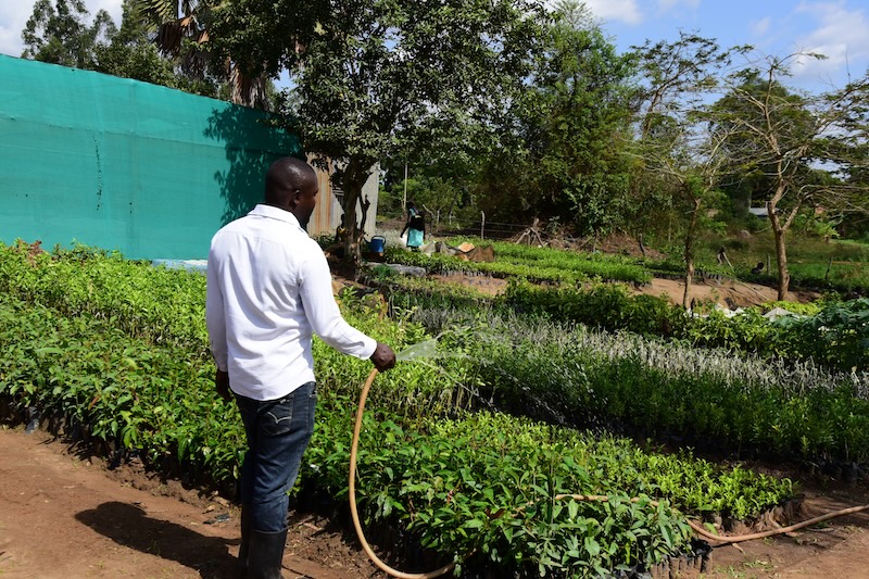 Equity bank empowers Lira residents through solar irrigation