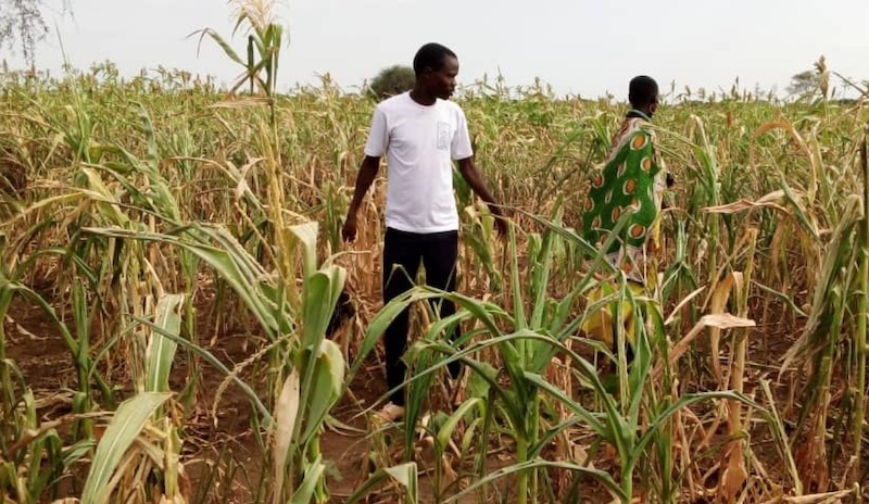 Fifteen dead as drought devastates Kotido, deepens hunger crisis