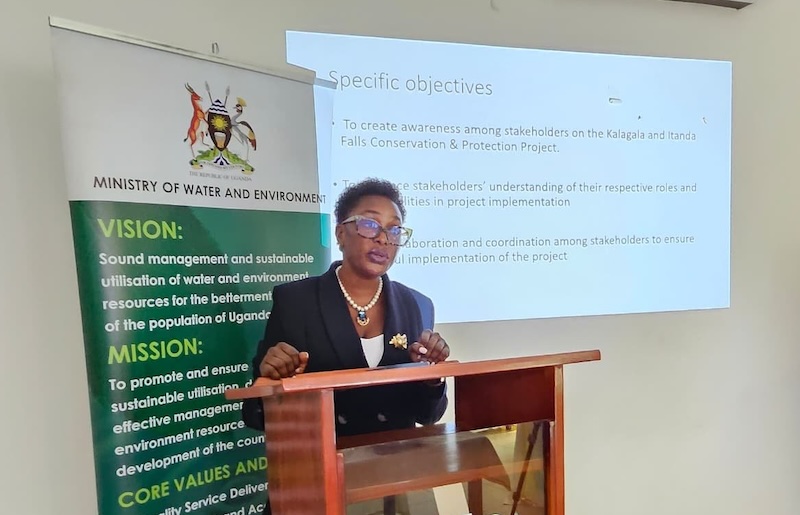Nile Basin districts to support Kalagala, Itanda falls conservation project