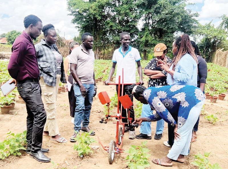University students can self-teach AI to disrupt agriculture sector