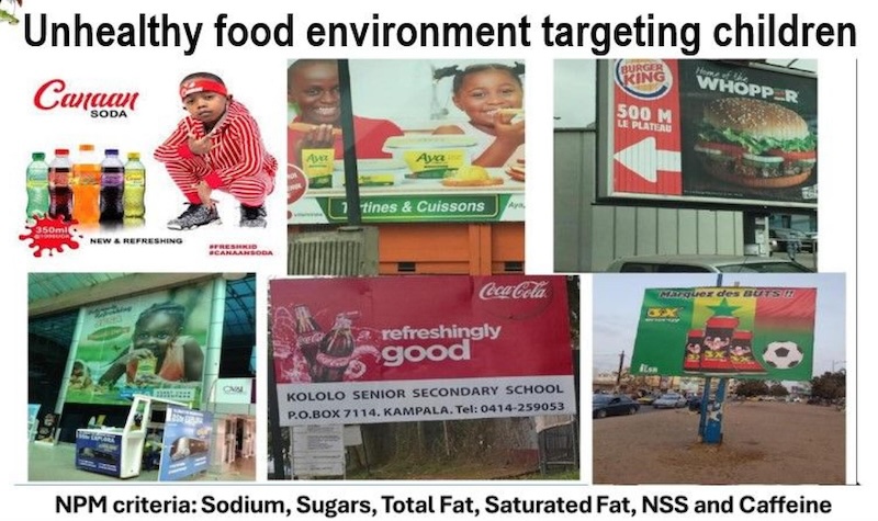 Govt profiles processed foods high in sugar, unhealthy fats