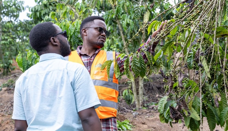 Equity Bank backs Zigoti Coffee expansion