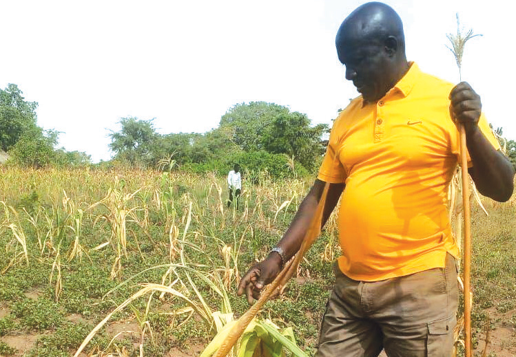 Prolonged dry spell threatens crop yields